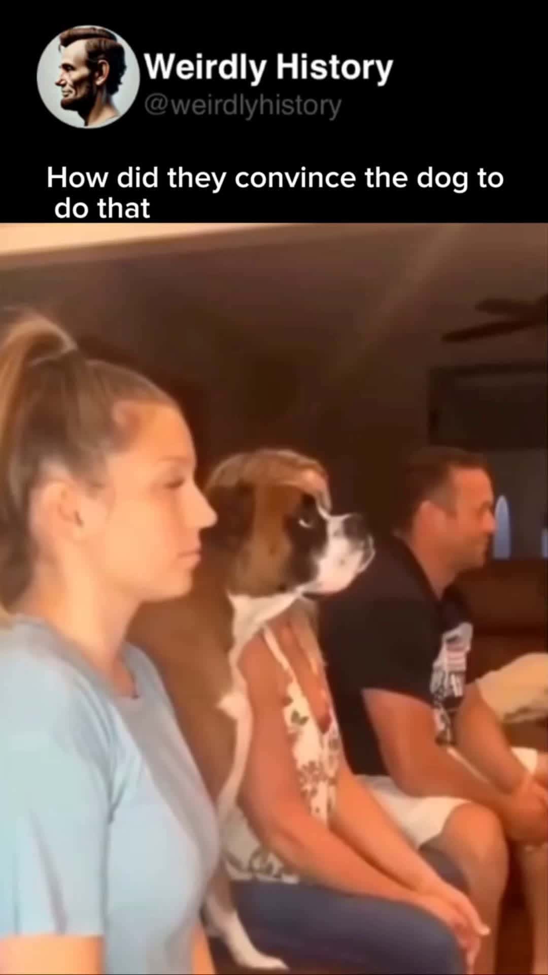 Cover for How did they convince the dog 🐕 to do that 😲 😭🤣 #funnyvideos  #fyp  #viral  #funnyvideos #FirstVideoChallenge