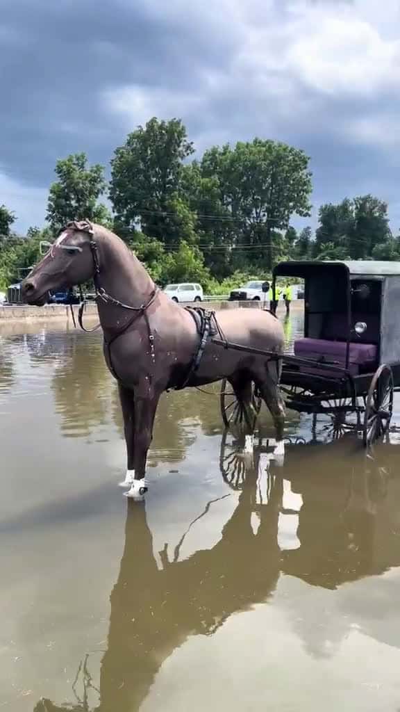 Cover for Deadly Flash Flooding Prompts Road Closures and Water Rescues in Maryland