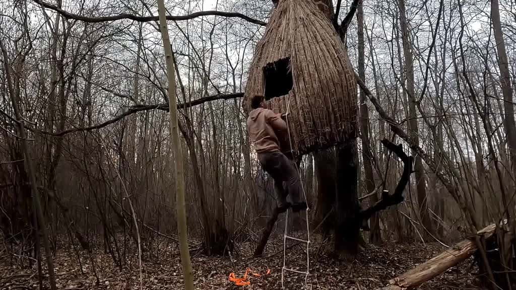 Cover for My process of creating a natural shelter and blending into nature travel 2025 betelhem bus 25038 #shortvideosscoopz