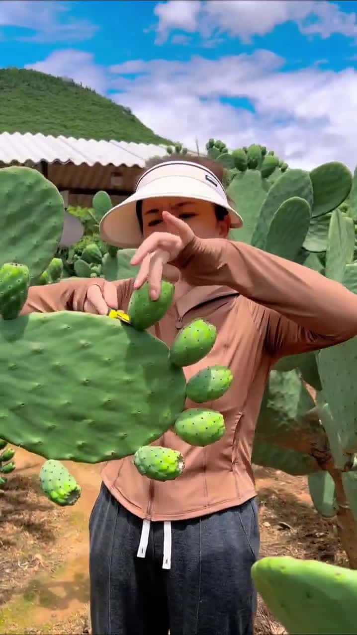 Cover for #FirstVideoChallenge Cactus You Can Eat Prickly Pear Explained! #explore #fyp #follow