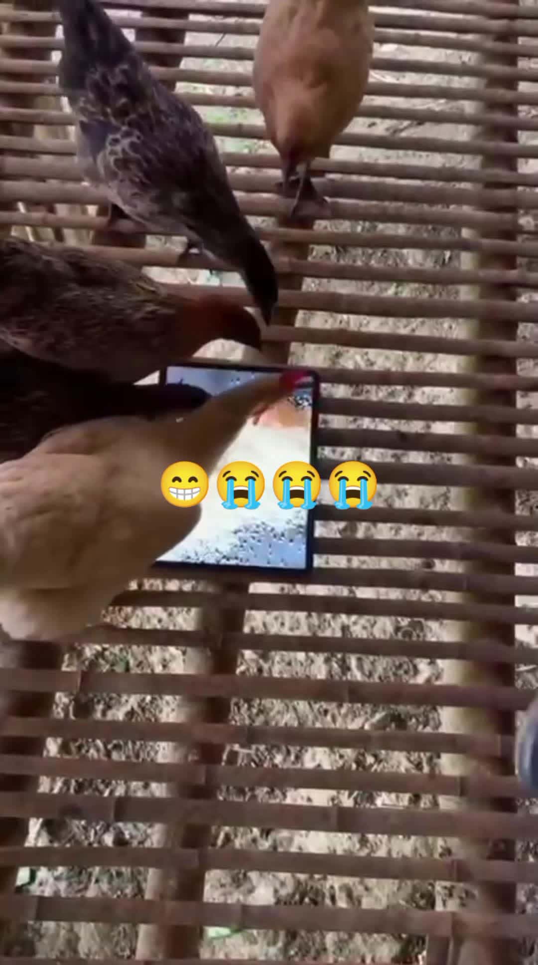 Cover for 😭🥵😁#funny 