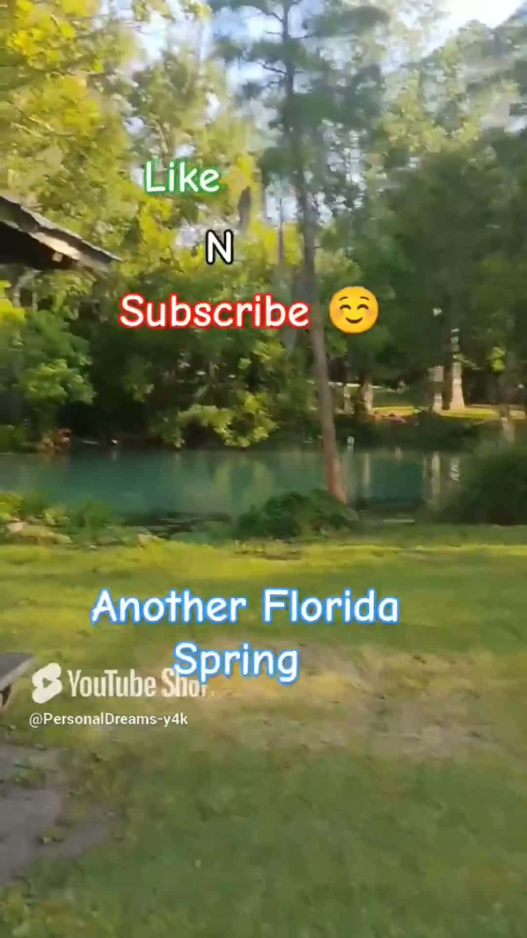 Cover for #CaughtOnCamera #florida #tampa  #nature #natural 