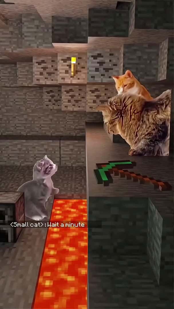 Cover for Cat got into Minecraft .😭😭🐱#minecraft #funnycats #funnyanimals #petvideos #cat #fyp