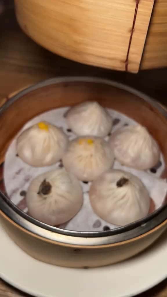 Cover for Which DUMPLINGS from steam nyc in the West Village are you DEVOURING#! The choice is yours #DEVOURPOWER #fyp #foryou #foodtiktok #steamnyc #dumplings #dumpling #nyc #chinesefood #asianfood #chinese #newyorkcity
