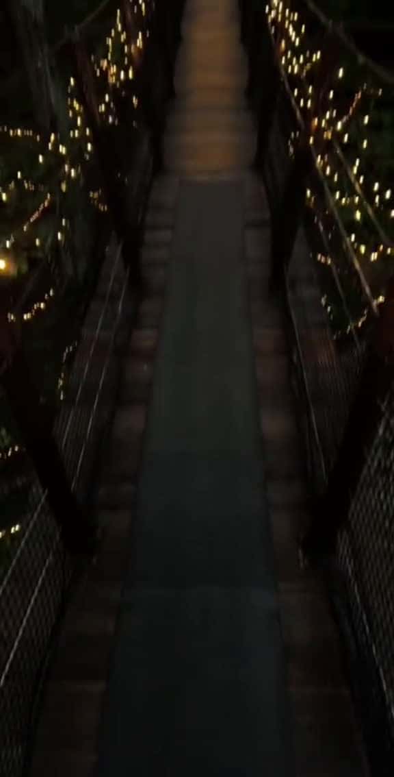 Cover for stitch with phillipgosek Correction It s only open with the Canyon Lights until Jan. 22 tr 86602 #shortvideosscoopz