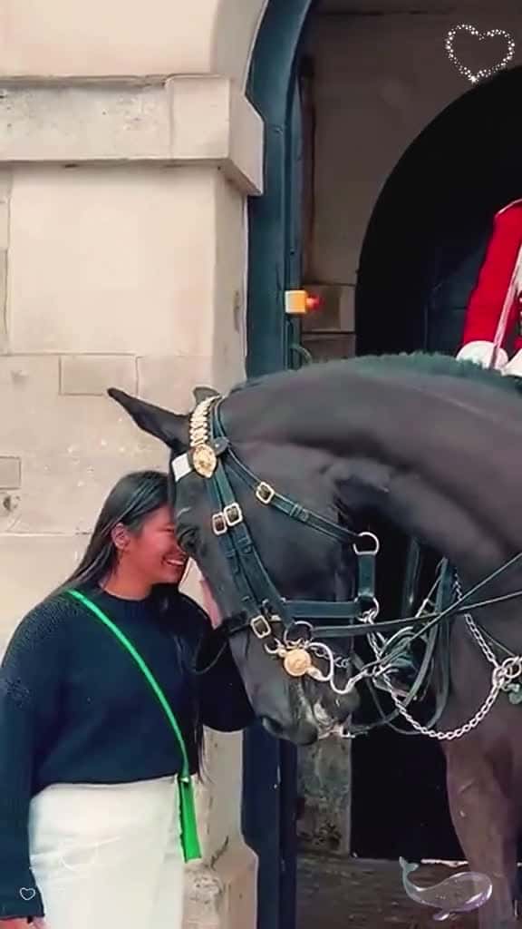 Cover for Respect for the king s guard. kingsguard royalguard horse royalfamily tourist 47050 #nicevideo