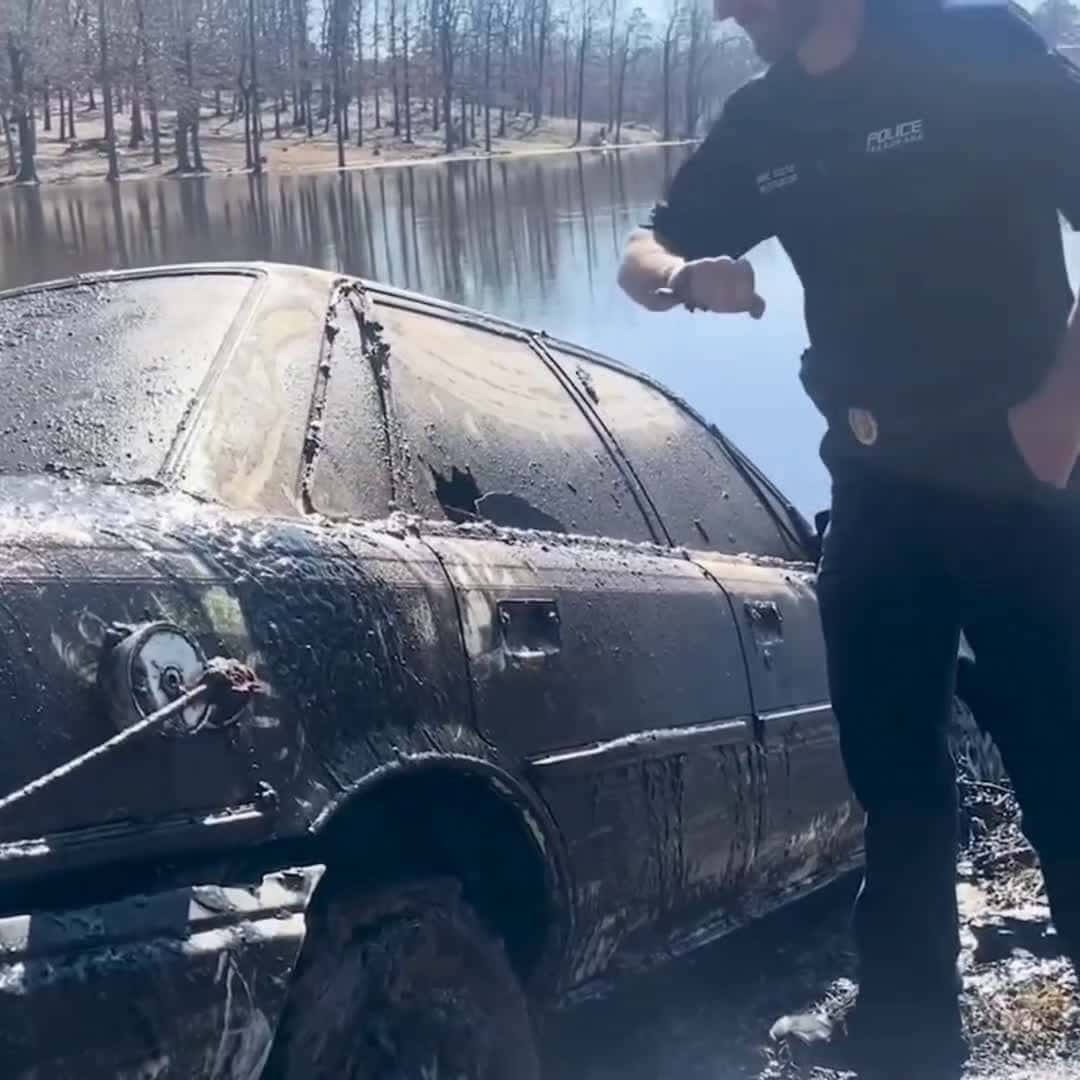 Cover for What's inside the car? 😯