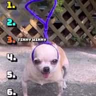 Cover for Ahahhehahahrhehhahehe