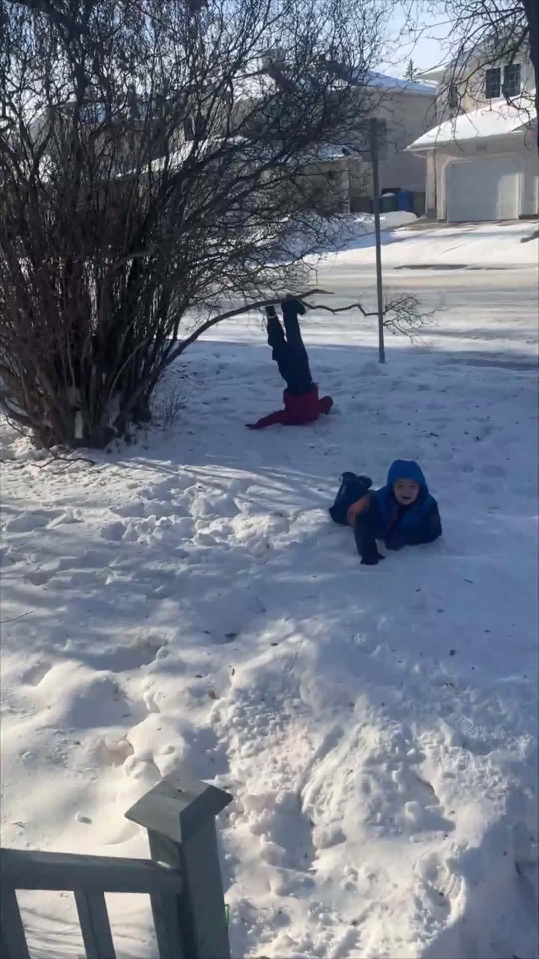 Cover for Boy Gets Stuck Upside Down on Branch as Mom and Brother Laugh