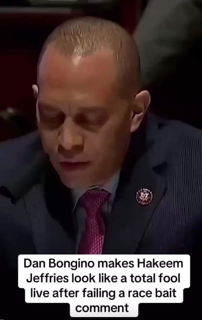 Cover for Racist Democrats