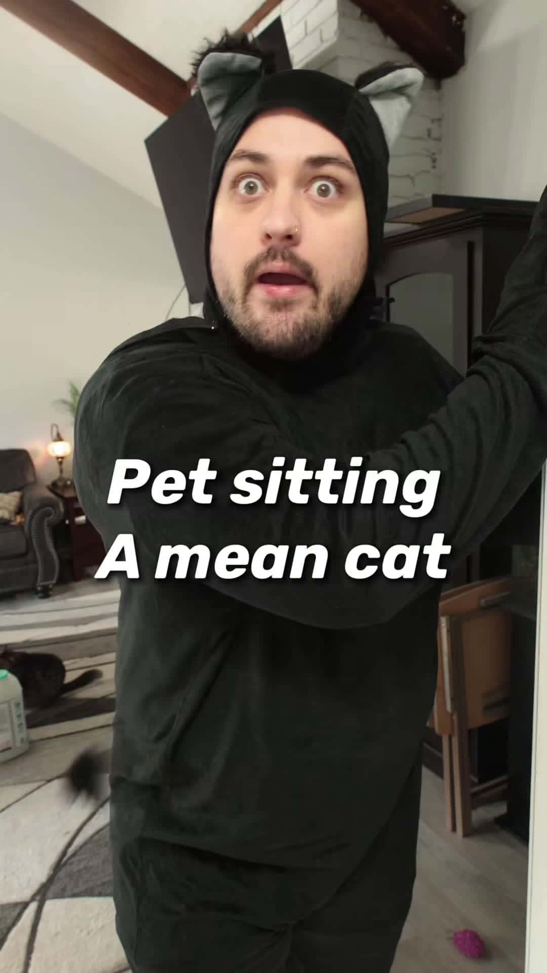 Cover for Pet sitting a mean cat😂 #cat #cats #catsoftiktok