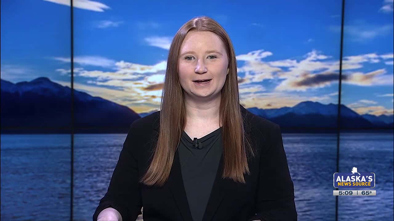 Cover for Alaska State Fair Celebrating Successful First day