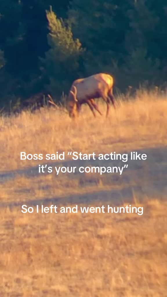 Cover for When your boss says it’s time to leave but you’re still trying to spot that elusive elk 😏 #hunt #bosslife #funnymoments #taylorswift