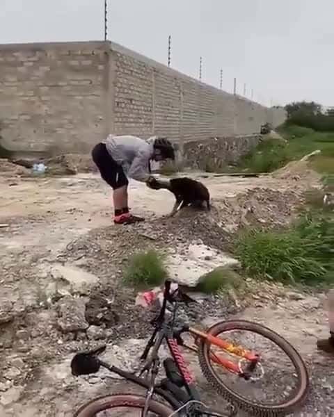 Cover for Look how happy he is ... when was it saved by the people ...🙏😊😍 #dog #doglover #dogrescue #funnydog #cutenessoverload #animalbehavior