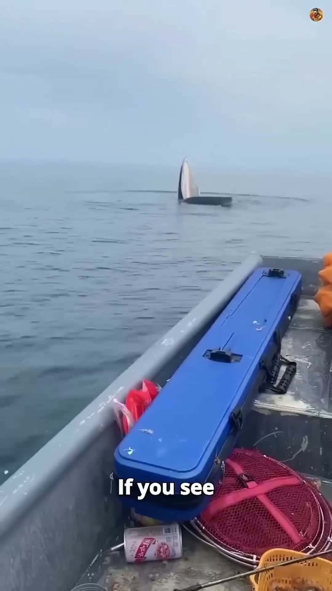 Cover for Don't Mistake This for a Boat! 😳