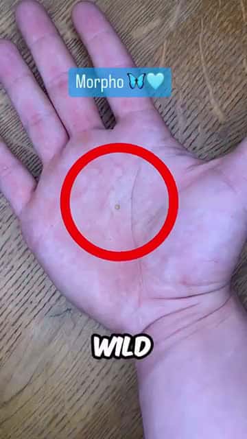 Cover for This Tiny Egg Turned Into A Monster