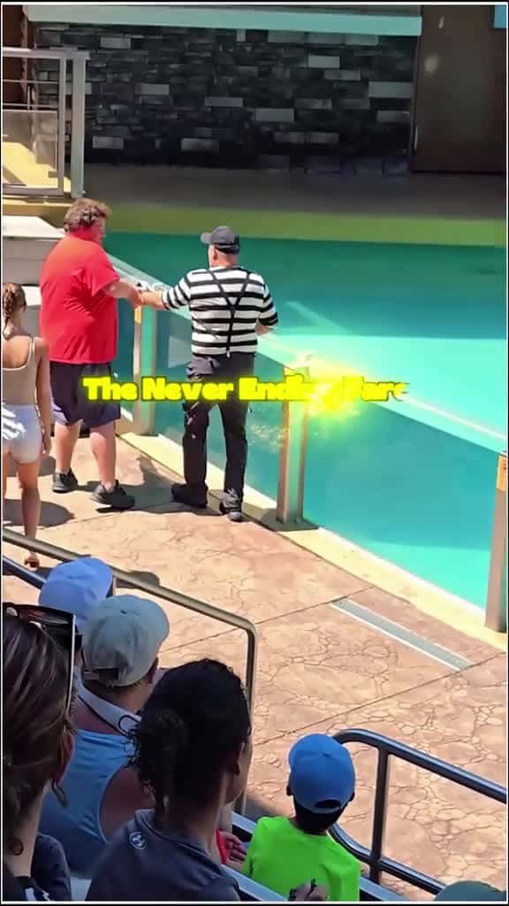 Cover for Funny clown mime funny funnyvideos seaworld smiles clown comedy viral tomthemime trending 81582 #trending