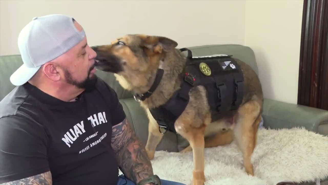 Cover for Retired K9 hero battles cancer with support from his community