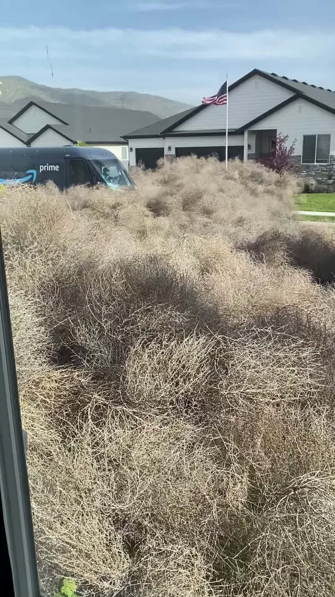 Cover for #CaughtOnCamera Amazon Delivery Driver Drives Through Tumbleweeds to Deliver Package.