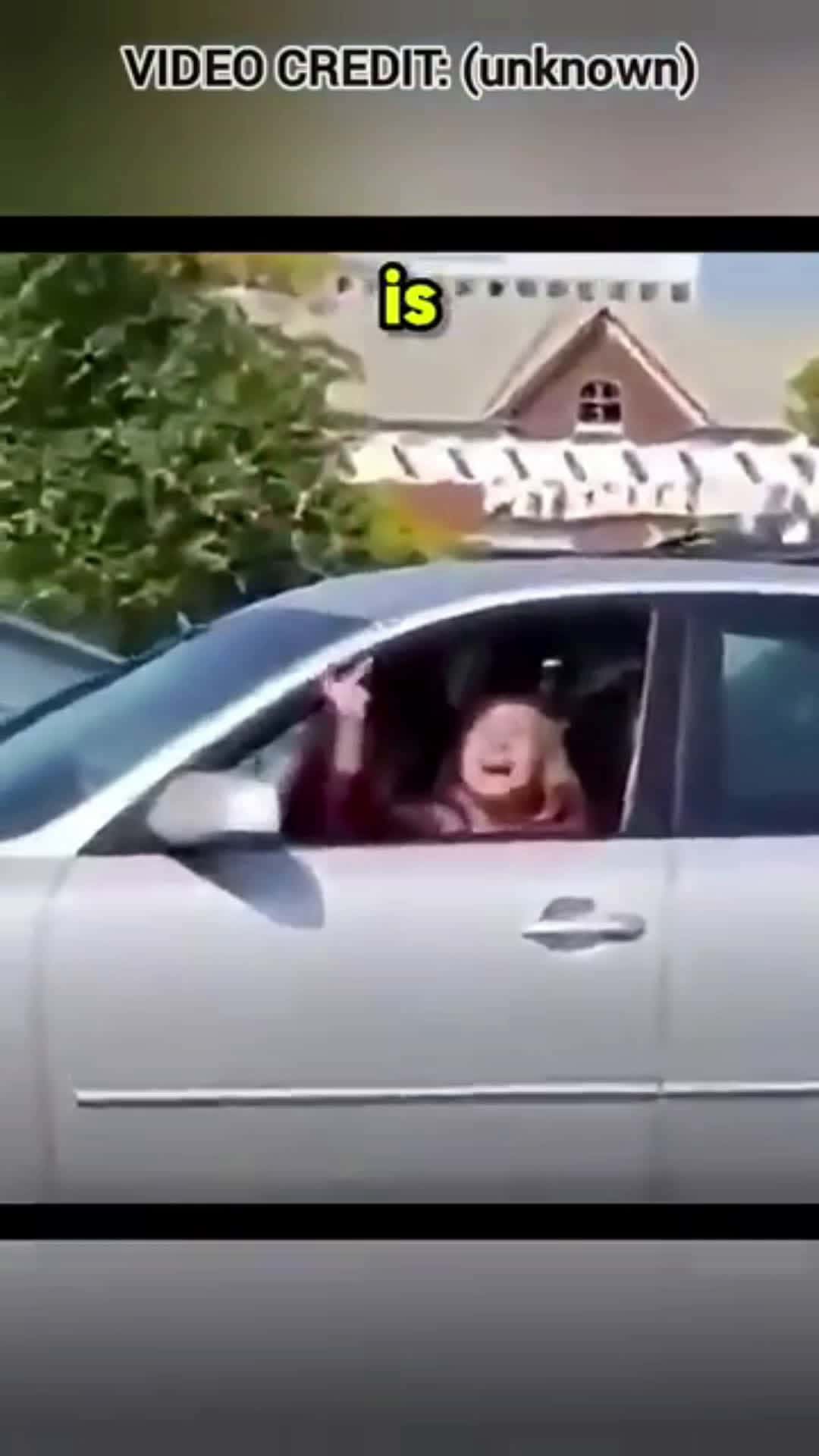 Cover for Road Rager Gets Funniest Instant Karma!