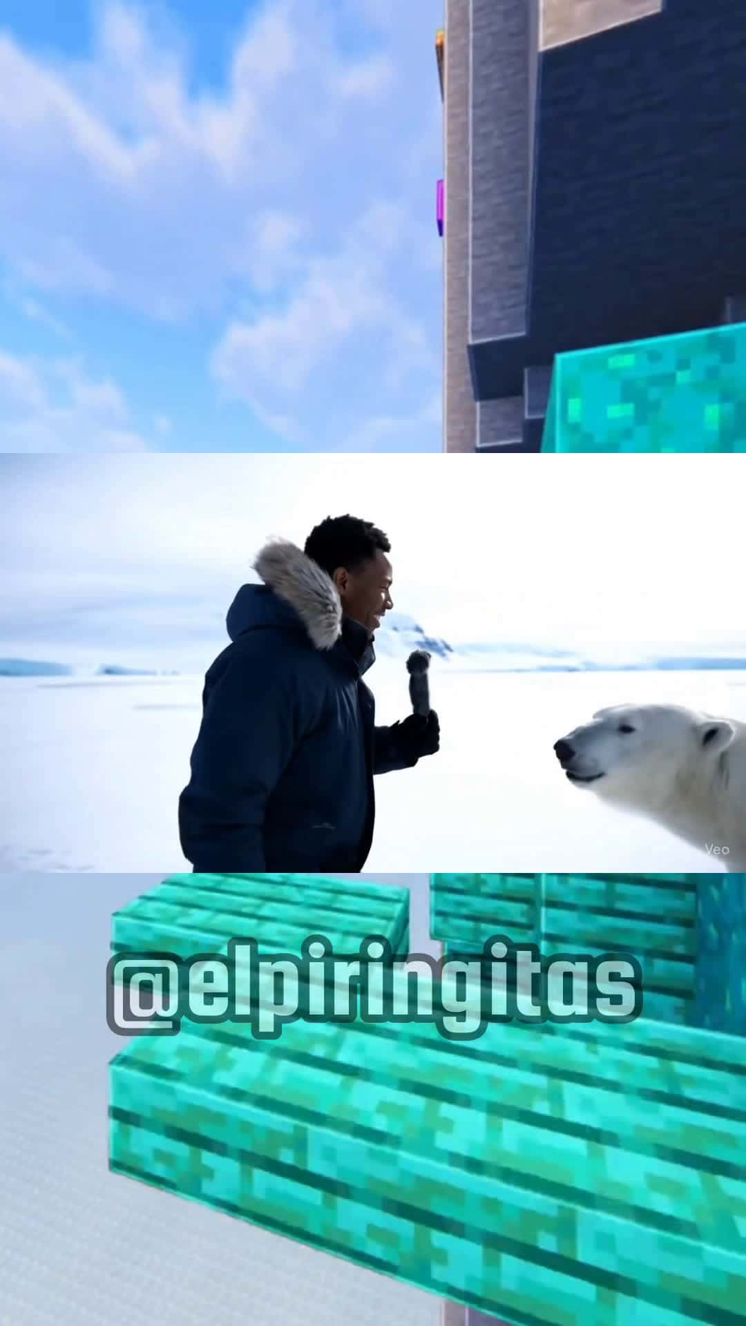 Cover for YN Polar Bear? #veo3 #aivideo #ai #yn follow @acaocho for $100