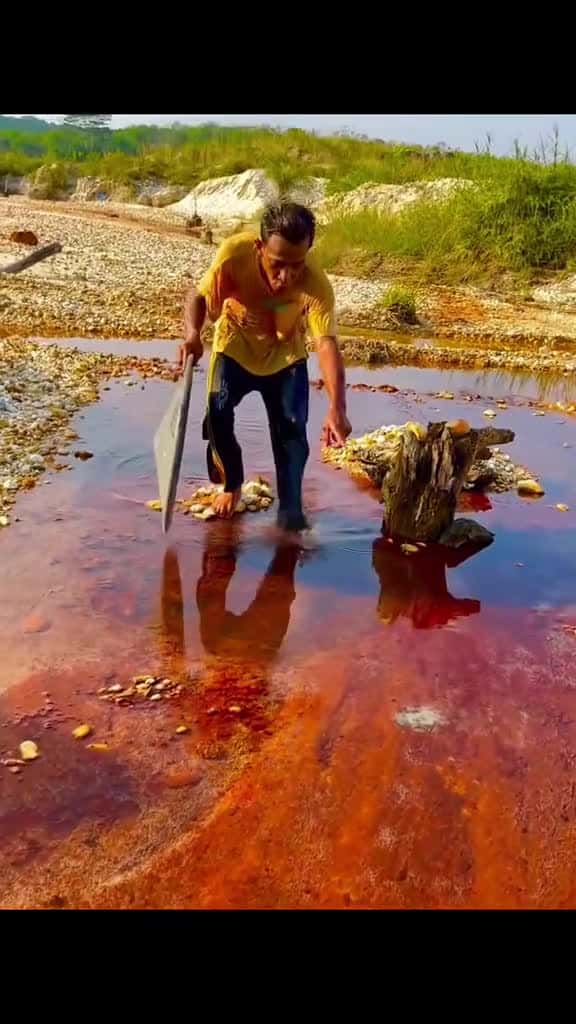 Cover for Looking for gold and panning for gold buried in River viralvideo unitedstates golddiscover 26199 #trending