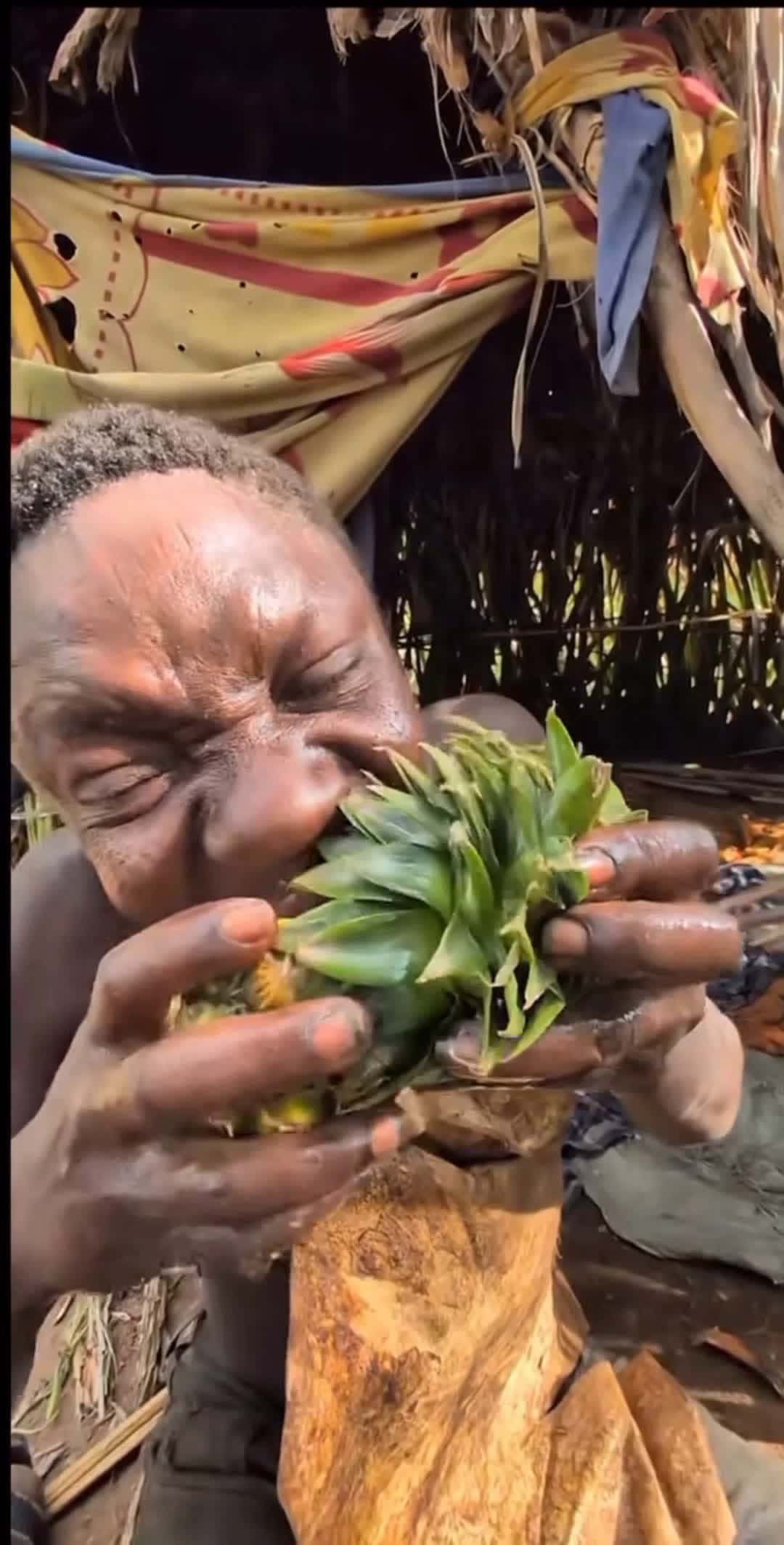 Cover for  In Africa, even a pineapple becomes a gift of wonder when shared for the first time." 🌍🍍 #PureJoy