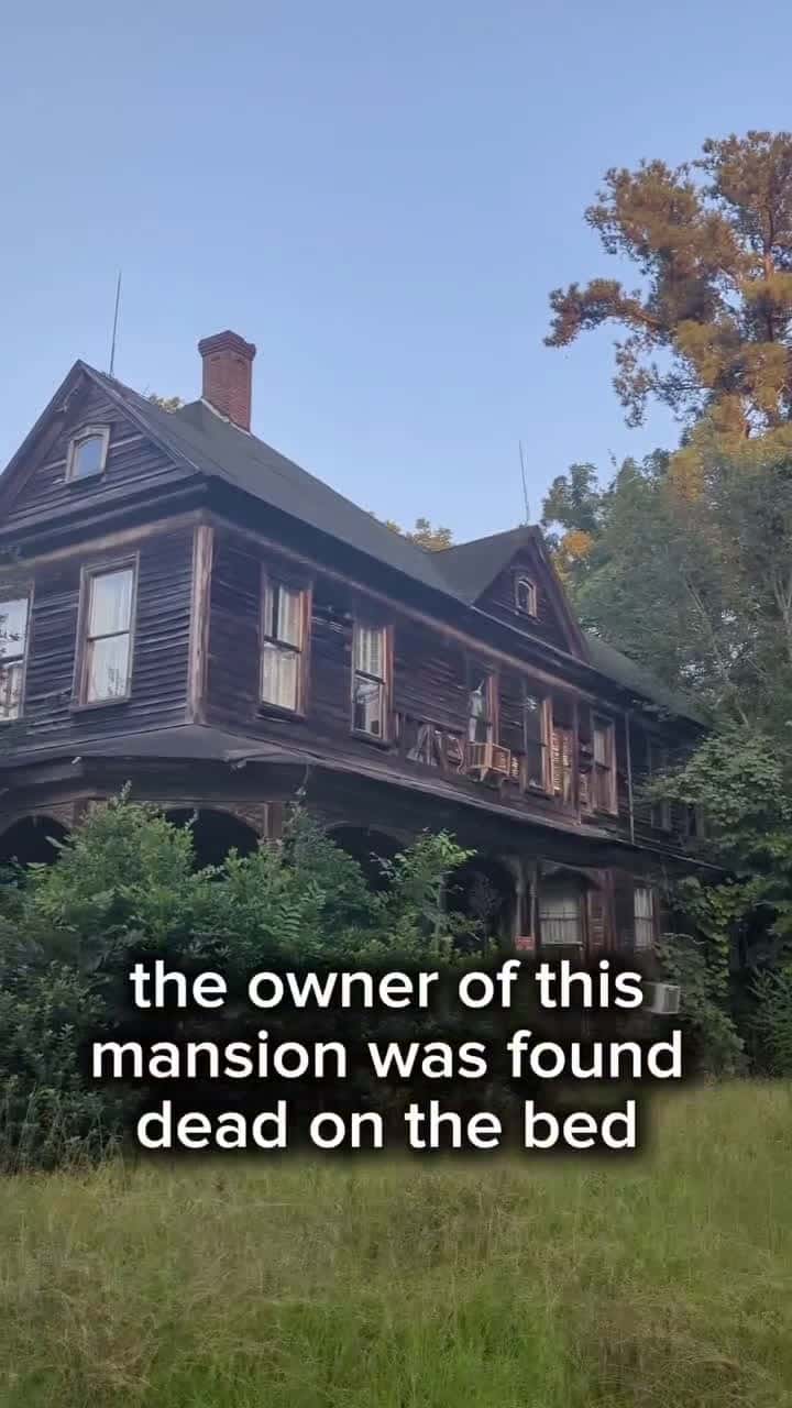 Cover for the owner of this mansion was found dead on the bed #CaughtOnCamera#ThePawfectMoment