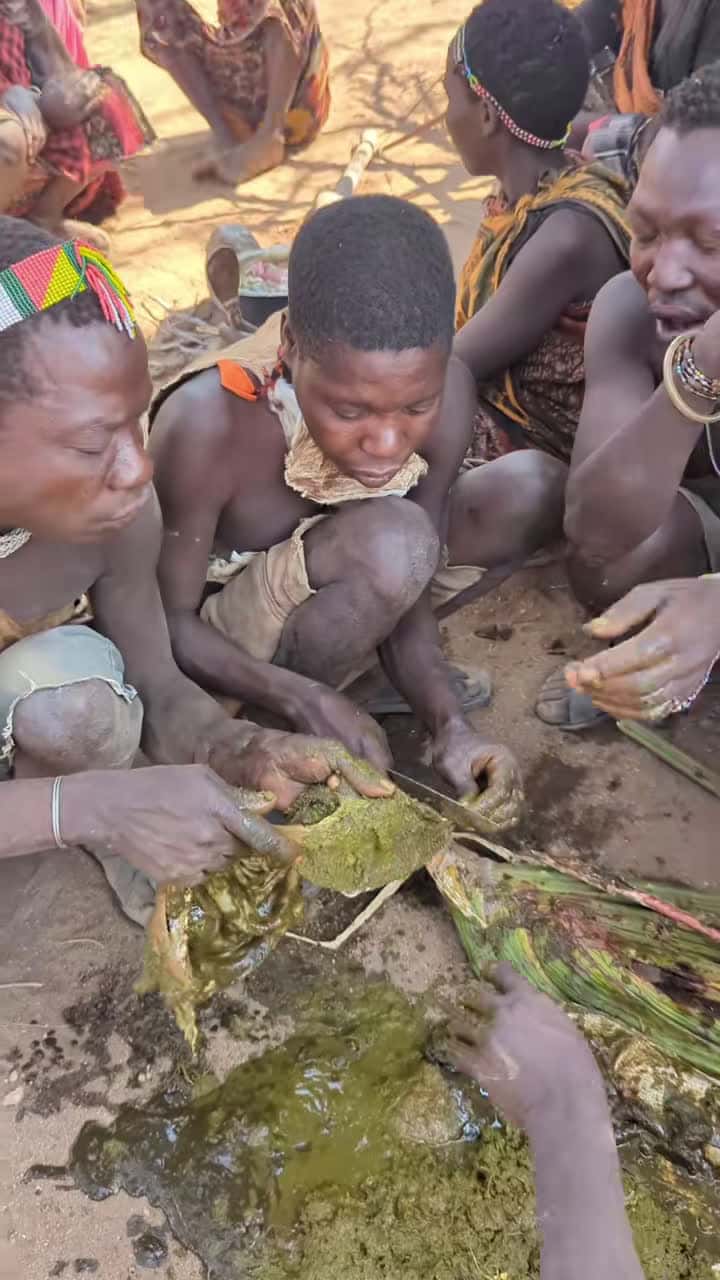 Cover for wow,,😋 it's amazing Lovely food hadzabe tribe eating breakfast time 😍 very Amazing tradition lifestyle