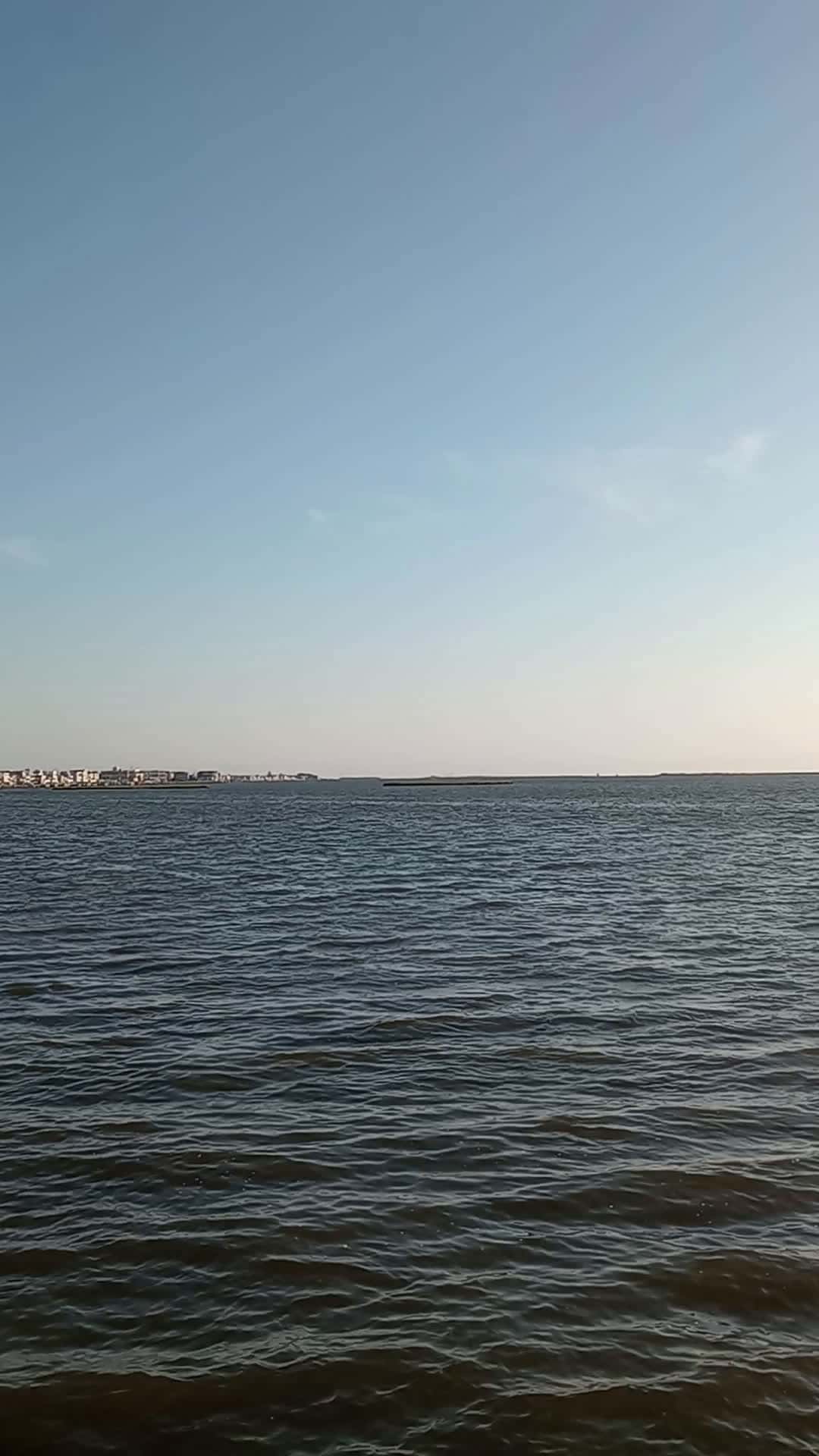 Cover for Bay at Long Beach Island 