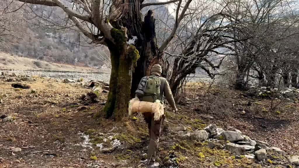 Cover for Camping campings24h survival buiding bushcraft viral travel 2025 bushcrafting bushcraftshe 69802 #ilovescoopz