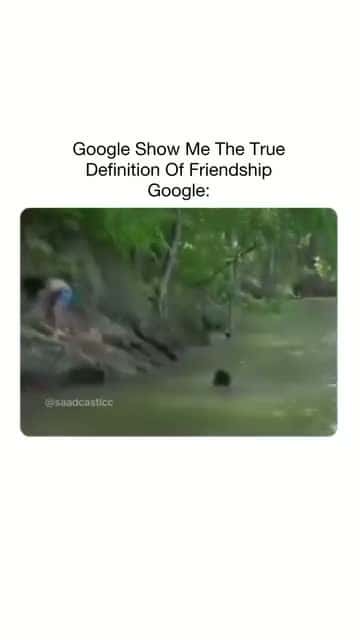 Cover for THATS A FRIEND FOR LIFE AFTER THAT😮😮😮😮😮😮 #wow #unexpected #comedy #explore #explorepage #fyp* #fyp #foryou #funny #foryoupage#instagram #instagood #meme #memes #reels #scoopz #shorts #trending #tiktok #usa #viral #viralvideo #video #viralvideos #lol #humor #funnymemes #comedy #funnyvideos #funny #entertainment #fypシ