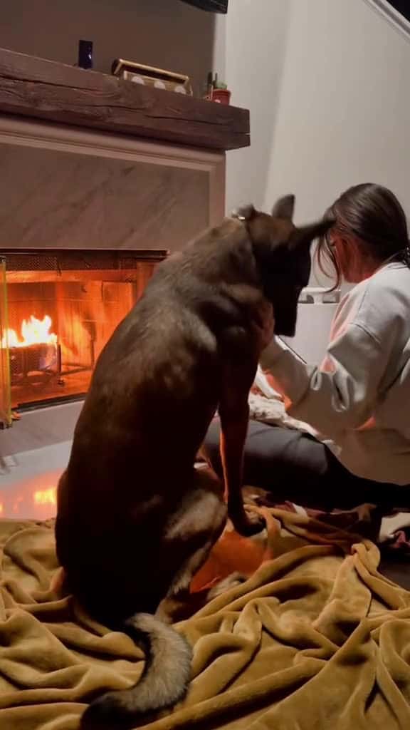 Cover for read with us fyp malinois 66283 #shortvideosscoopz