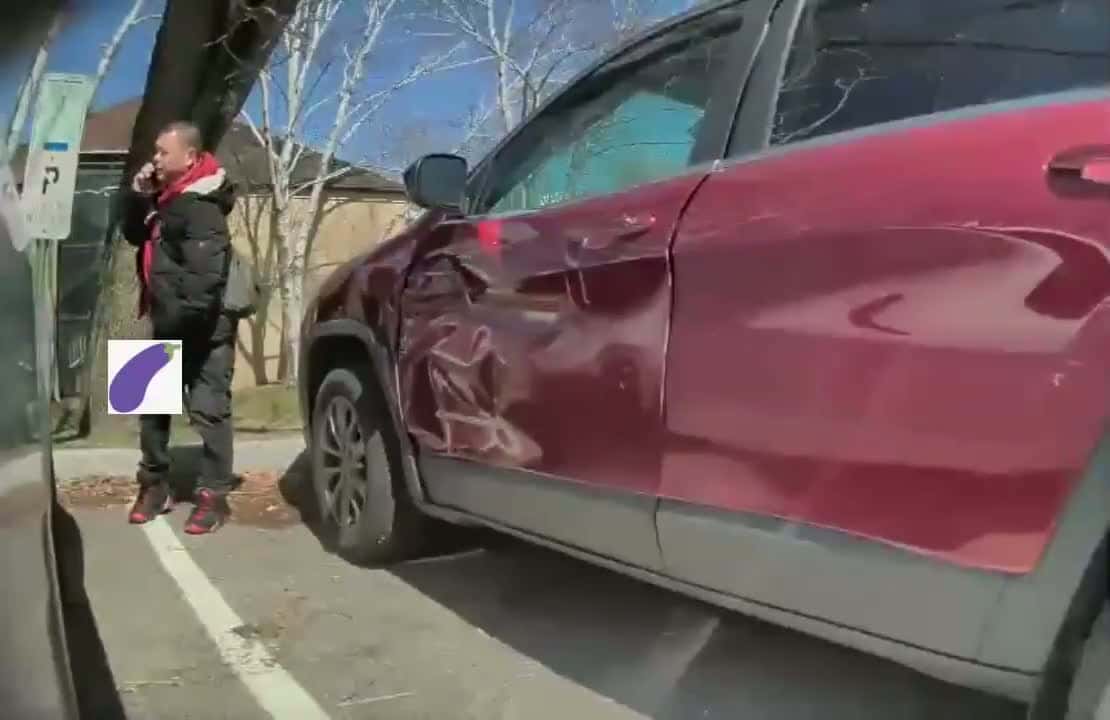 Cover for Liberal ManGets Caught by Tesla Camera Urinating on Cyber Truck #tesla #teslaterrorism #elonmusk #lefty #lunatic 