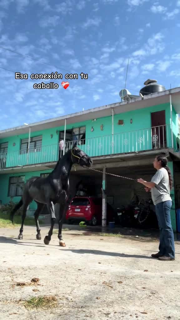 Cover for parati antonioaguilar 45158 #shortvideos