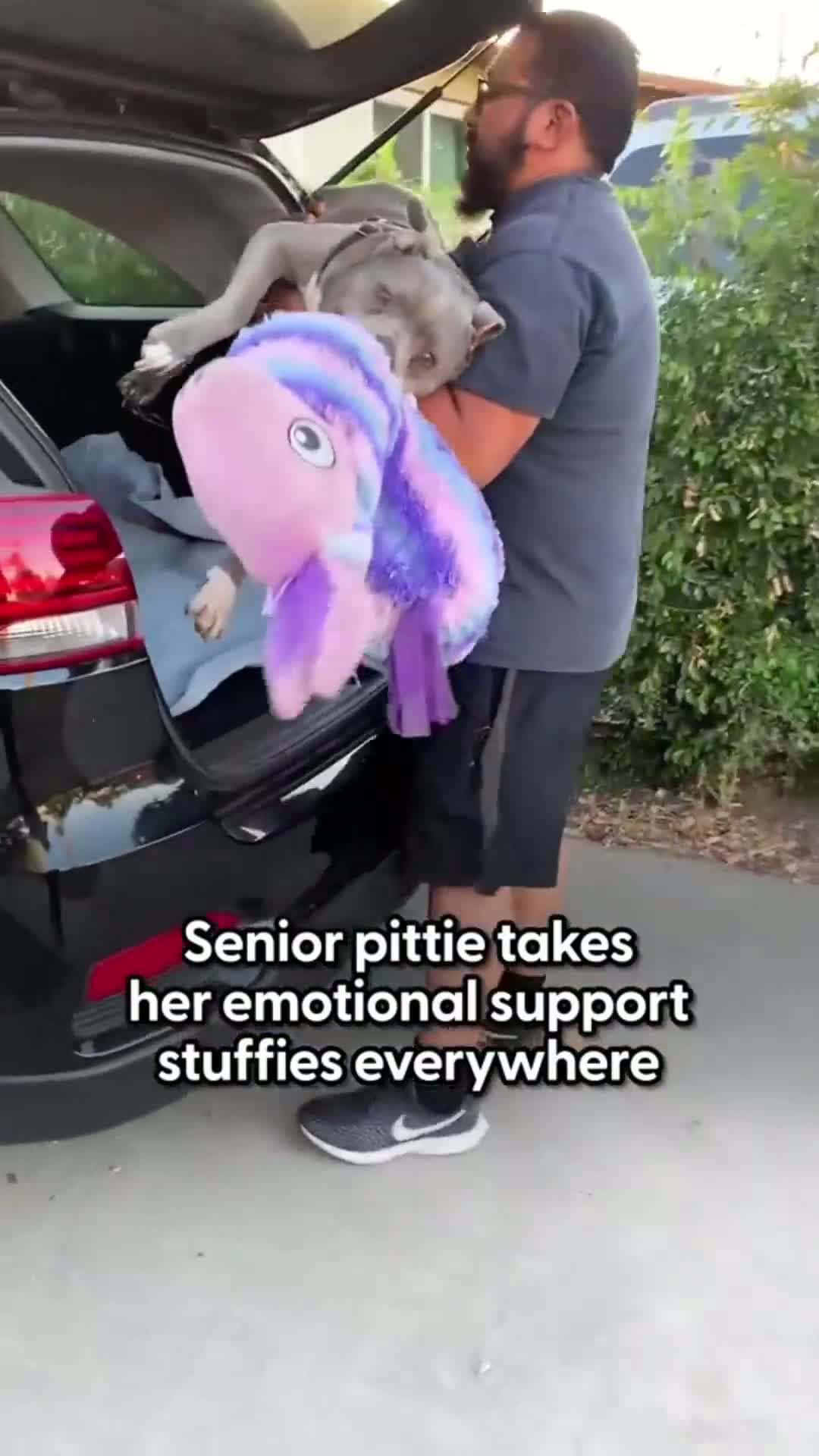 Cover for They’re like security blankets to her  💗 Yazmin told us how she lets Luna do whatever she wants with her stuffies because they make her happy, and about @Looney and Snow’s adorable relationship!