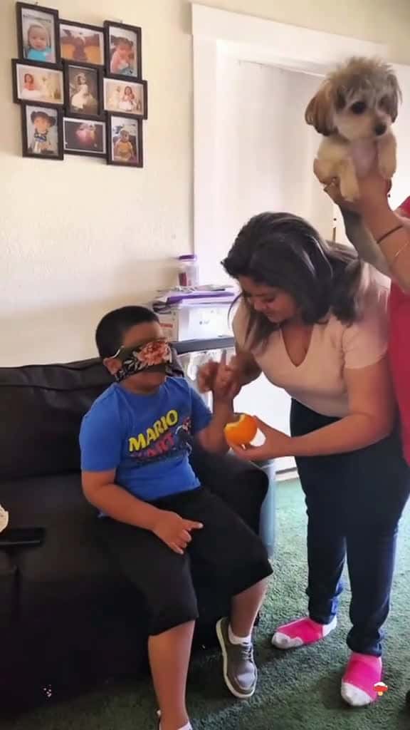 Cover for #prank #funny #funnyvideos #kid#fyp#usa#tiktok #chocolateprank