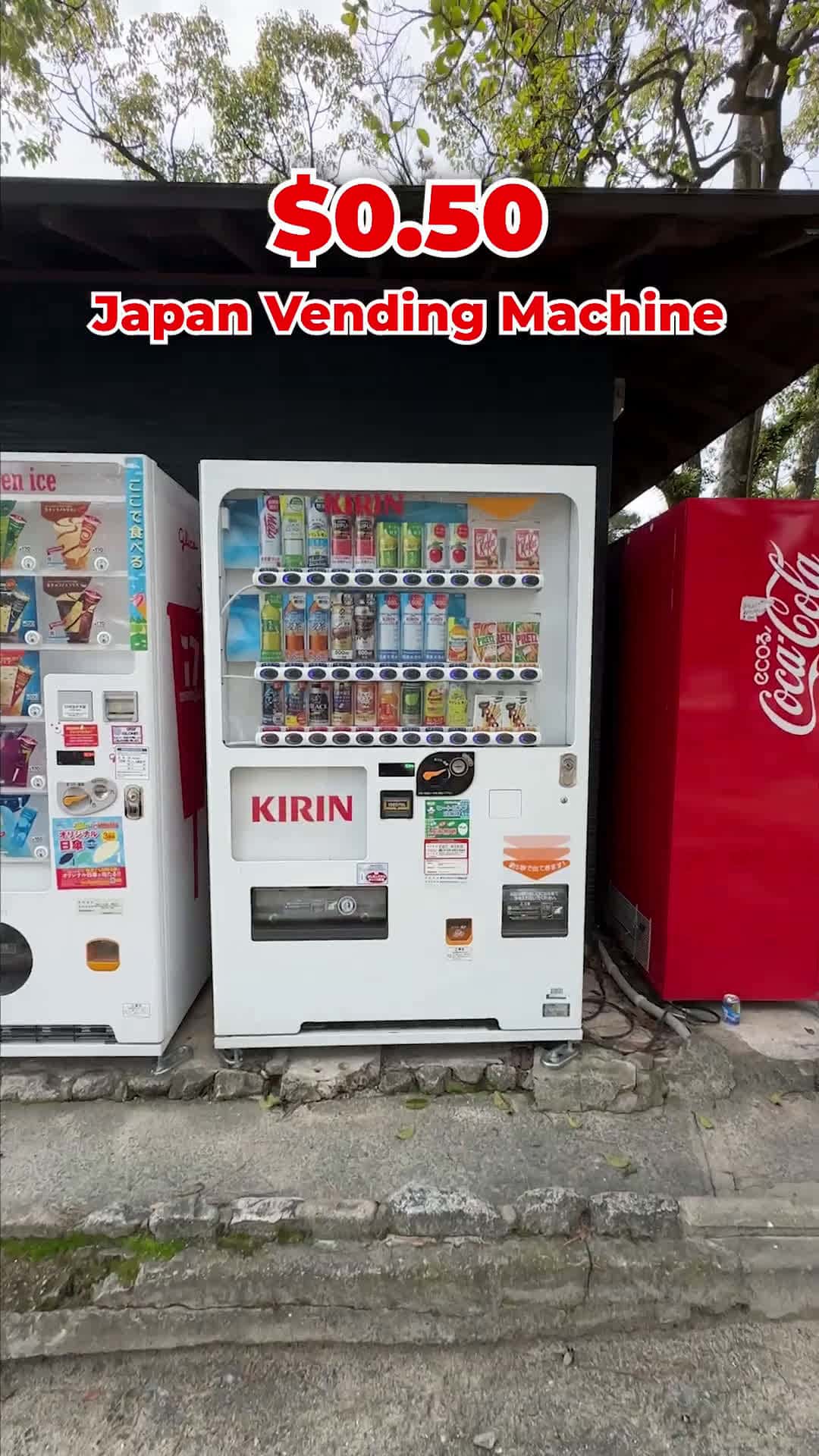 Cover for The Craziest Things You Can From Vending Machines in Japan