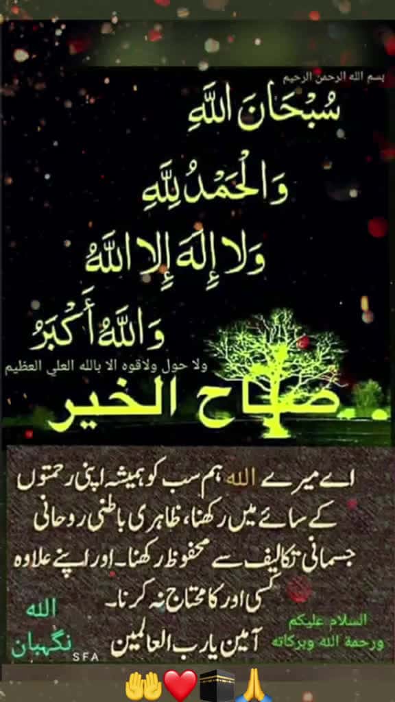 Cover for beshaq  mashallah pageforyou  love like pageforyou  viral pageforyou  trending video 14282 #followMe