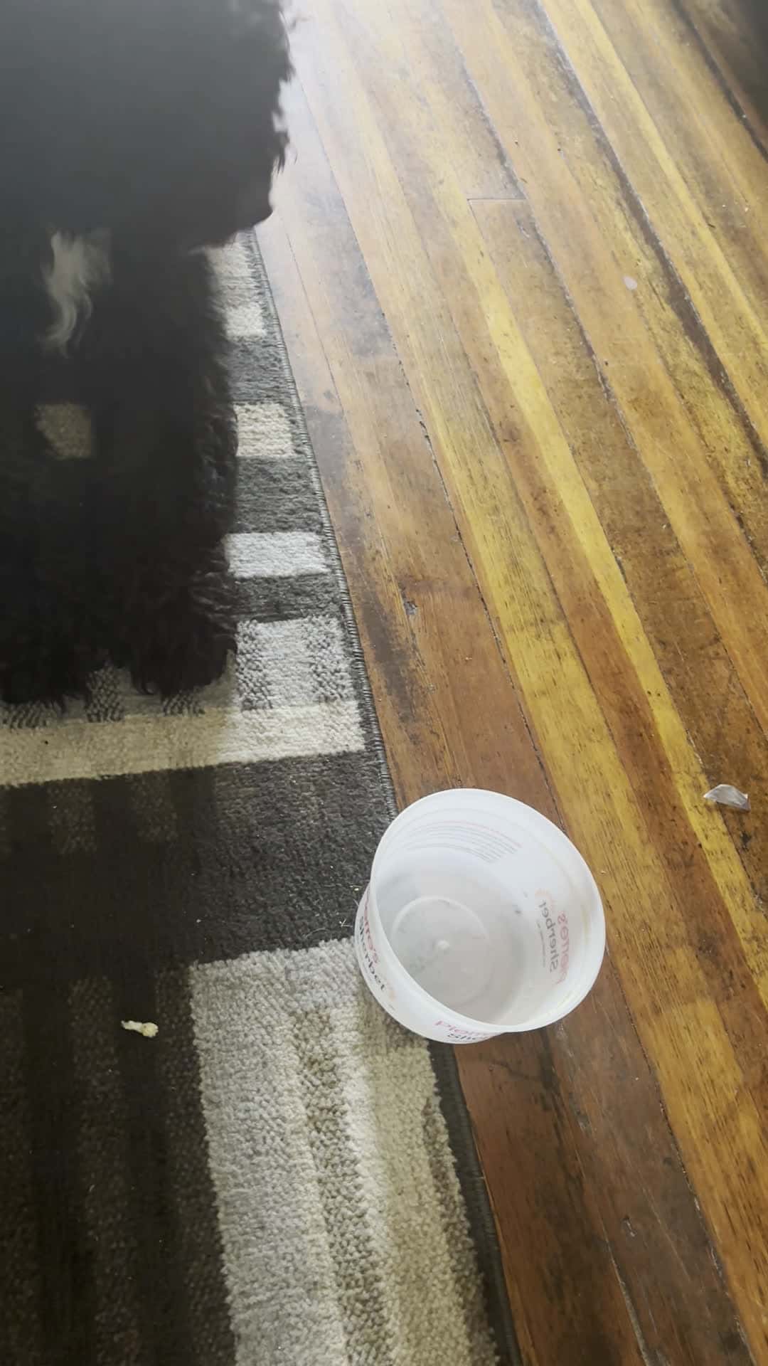 Cover for He 🤬 you unless u gonna put more in the bowl