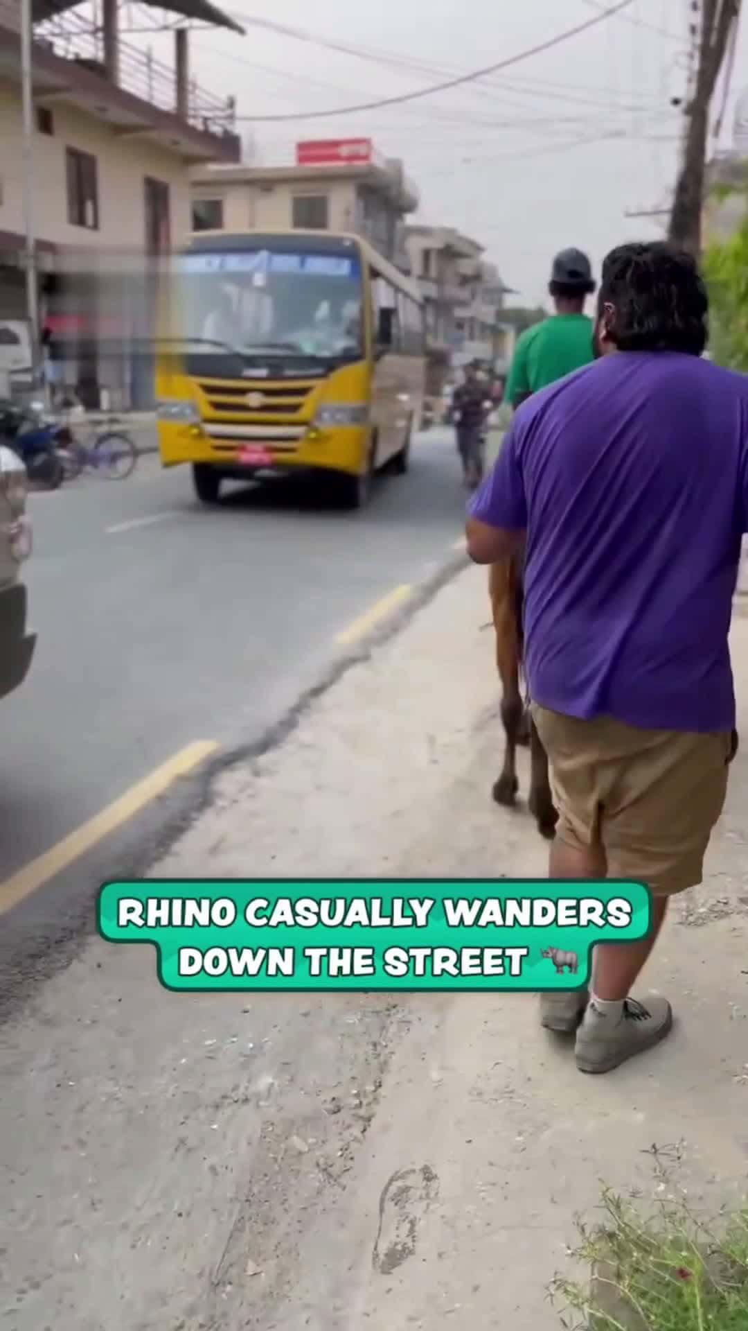 Cover for Rhino Wanders Down City StreetJust a casual day in Nepal 😂🦏