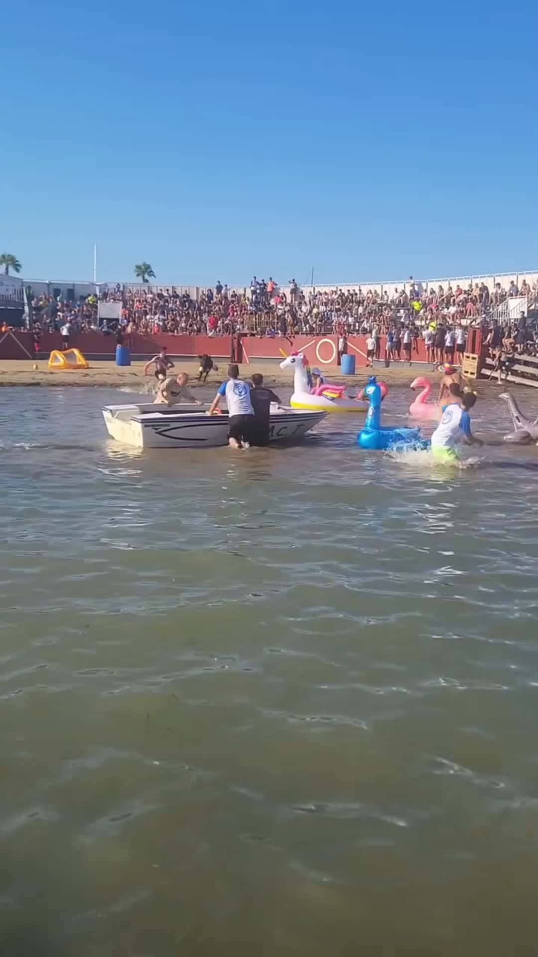 Cover for cow boxing with people sports funny juyfully #funny #water 