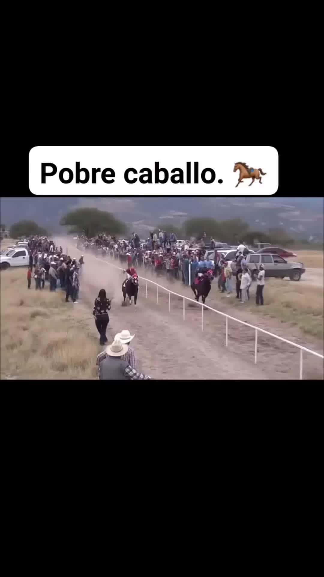 Cover for Flying jockey 🏇  funnyvideos n funny u viralvideo v comedy c art a