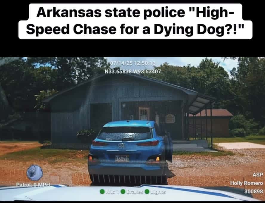Cover for High speed chase in Arkansas for a dying dog