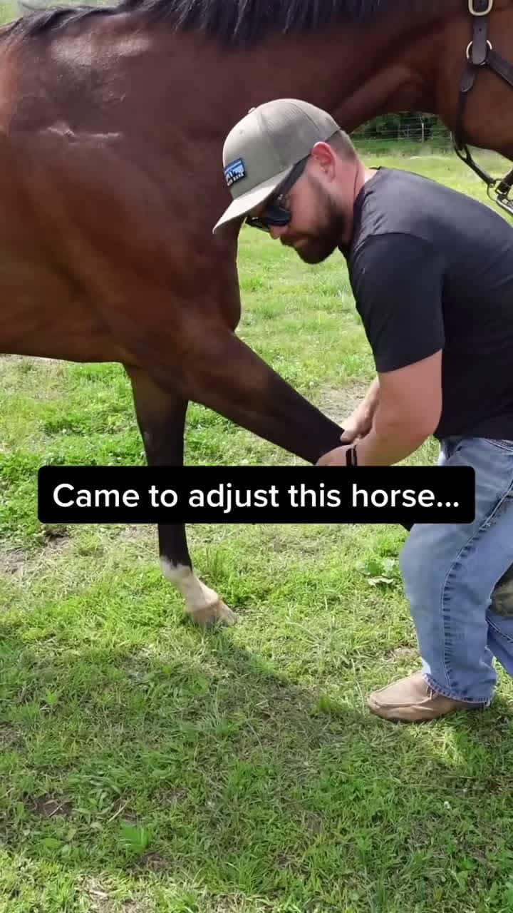 Cover for Came to adjust the horse- ended up helping the owners 🤷‍♂️ #tiktok #t...