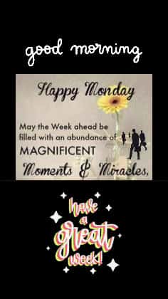 Cover for Happy Monday