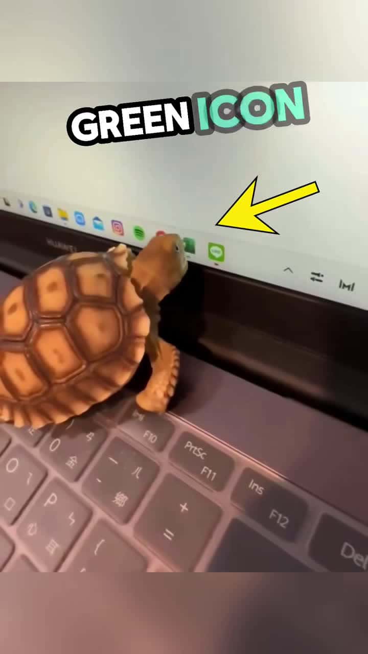 Cover for Turtle Thinks Every Green Thing Is Eatable 😀 #shorts 