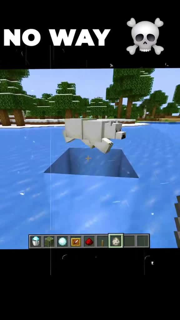 Cover for You won’t believe what happened in this insane Minecraft moment! 🚀 #Minecraft #Gaming #EpicFails