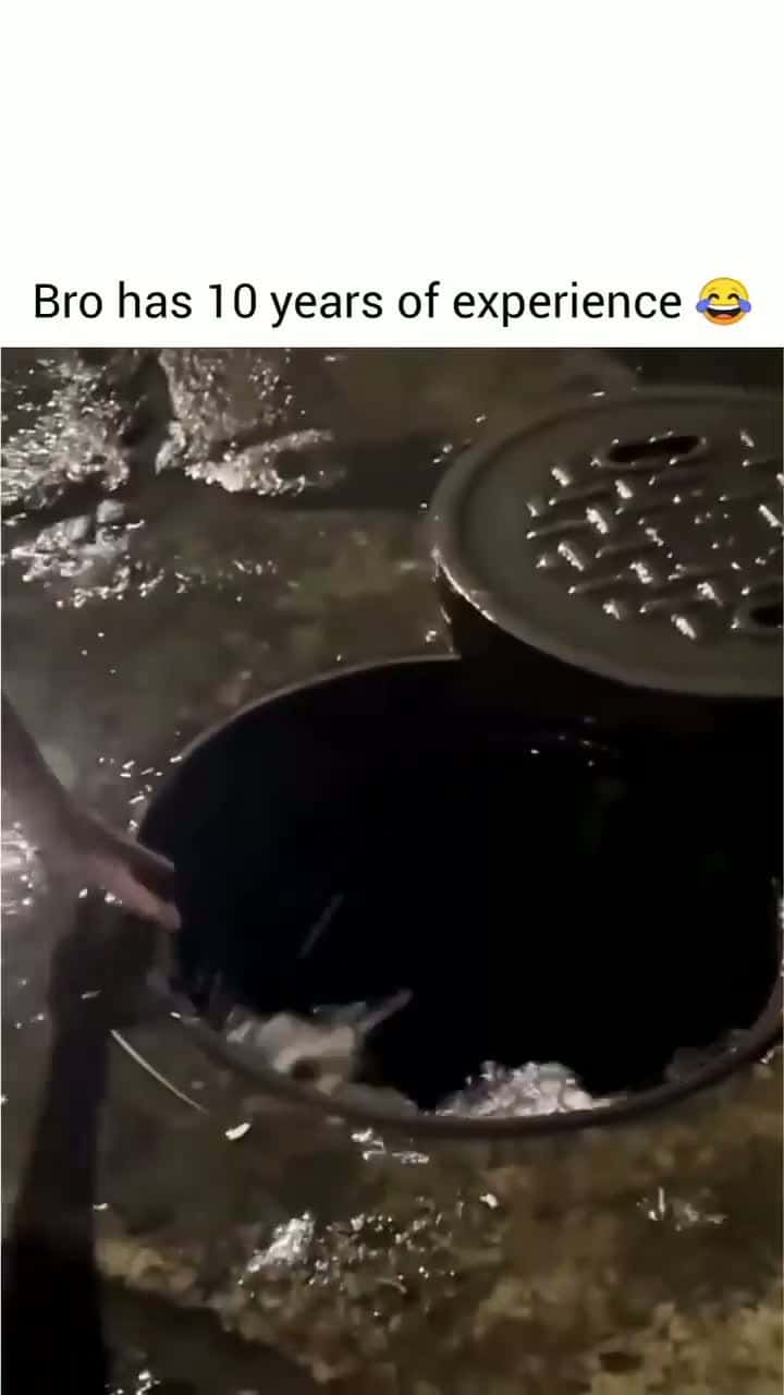Cover for bro has 10 years of experience 