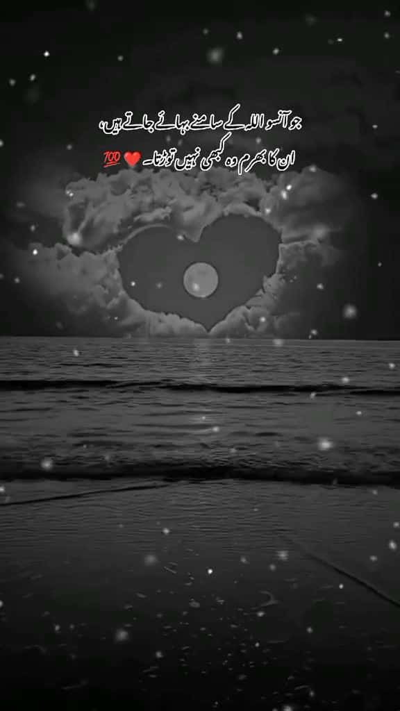 Cover for Follow Me Plzz ForYou Page Viral Vedio ForYou Viral Account Repost Request 73686 #ilovescoopz